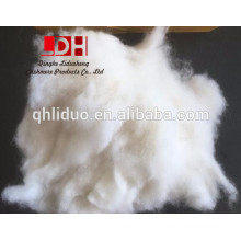 Natural White NXW dehaired cashmere fiber 16/18mm with 15.5micron